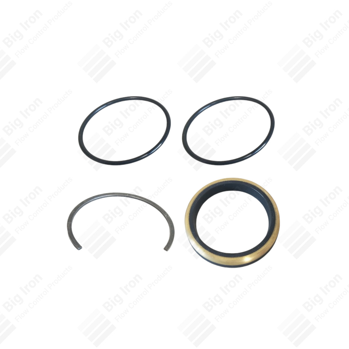 Swivel Joint Repair Kit, ANSON, 2" 1502, Sour Service, NOE